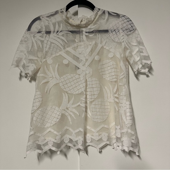 Anthropologie HD in Paris Ivory Lace Pineapple Sheer with Lining Pina Top 2P - Picture 2 of 9
